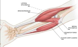 http://www.rockandice.com/lates-news/rock-climbing-injury-dodgy-elbows-revisited